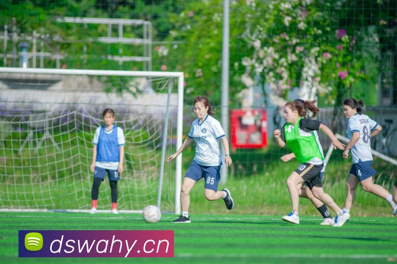 开云官网APP 高清赛事图